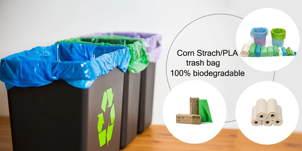 product-1000-500 product-1000-500